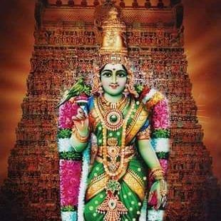 Divine Amman